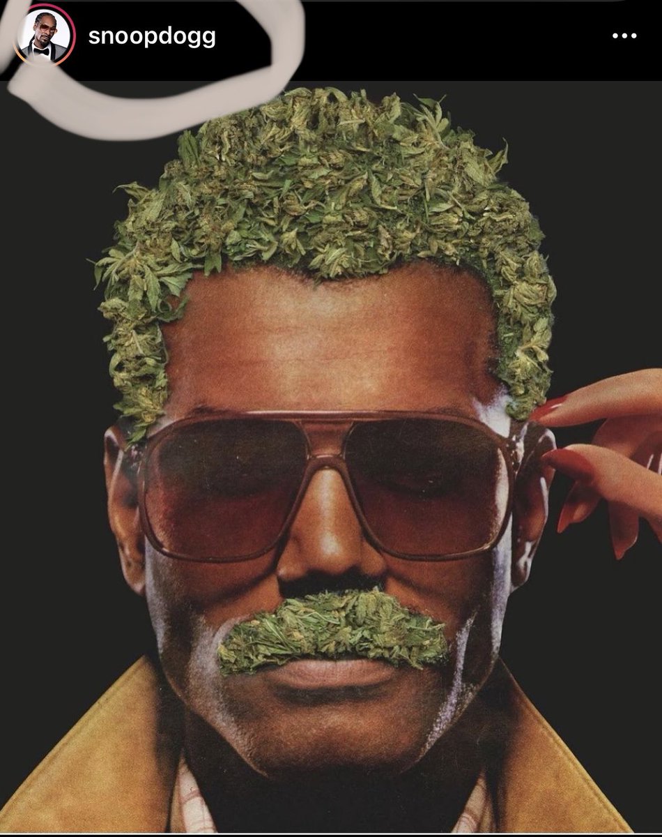 slimesunday's tweet image. Well snoop likes my art, #Bullish @SnoopDogg
