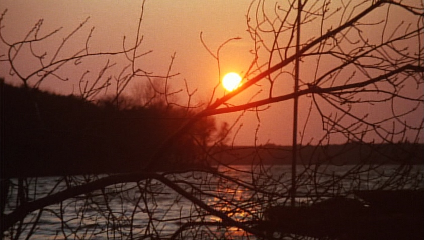 GIALLO_GIALLO's tweet photo. Carrie / Suspiria / Bay of Blood
The Texas Chain Saw Massacre https://t.co/ouNPdbgNBg