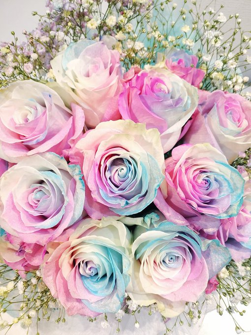 レインボーローズのtwitterイラスト検索結果