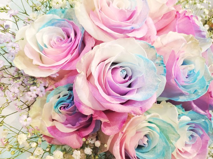 レインボーローズのtwitterイラスト検索結果