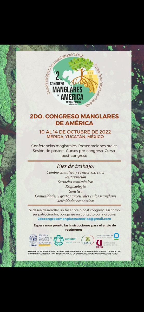 Ya hay fecha para el segundo congreso manglares de América y es México!! Vengan a conocer los manglares mayas! #mangroves #mangroveforest #bluecarbon #conservation #americanmangroves #congresomanglaresamerica