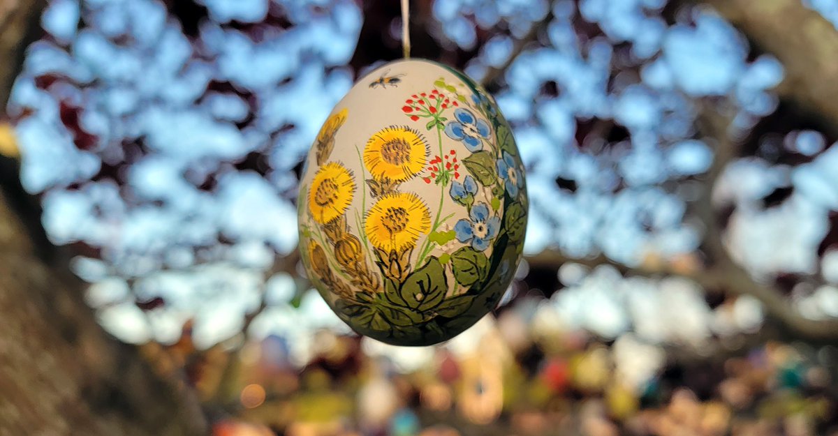 Our German students participated in egg decorating. The egg is an ancient symbol of life all over the world. German families traditionally blow out eggs &amp; then decorate the empty, dried shells in many creative ways. The eggs are then used to decorate branches of trees and bushes.