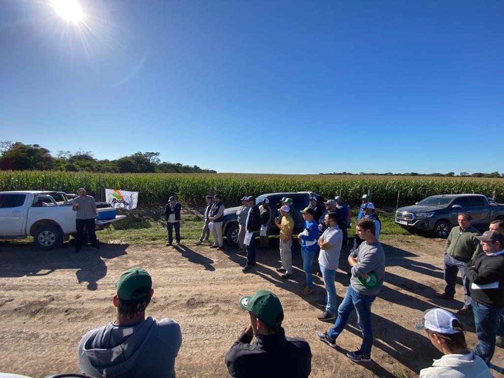 Recorrida de lotes de maíz  DEKALB en Bandera, Santiago del Estero
<a href="/DekalbArgentina/">DEKALB Argentina</a>
#Lideresenrelacionamiento #PRO4 #Dekalb