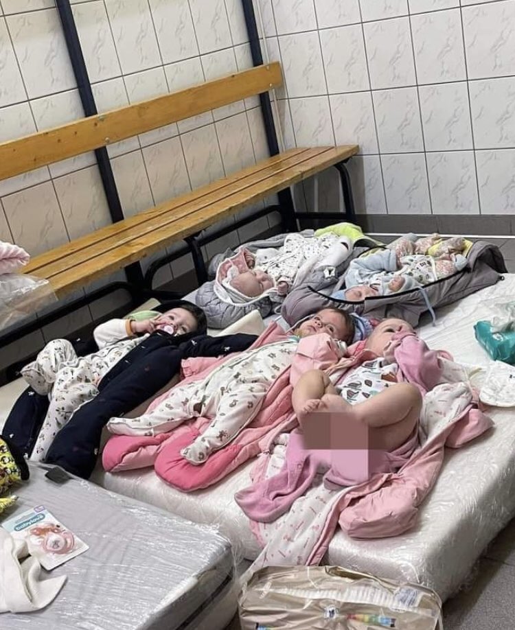 Visegrád 24 on Twitter "Polish volunteers feeding, bathing and