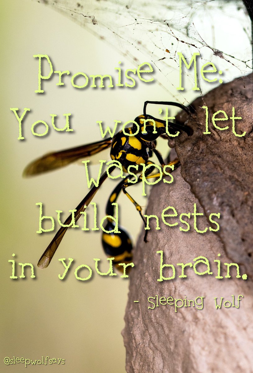 SleepWolfSays's tweet photo. Some folks just LOVE to “buzz buzz buzz” in your brain. Bees focus on their own work and only sting as a last resort. Wasps, on the other hand, just delight in causing pain. 

If someone’s getting in your head and not leaving something sweet behind? Get rid of them, fam. https://t.co/OiY5fkAYwN