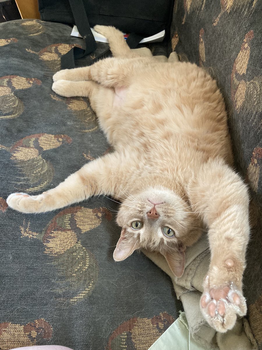 ghostlyfatson tweet picture