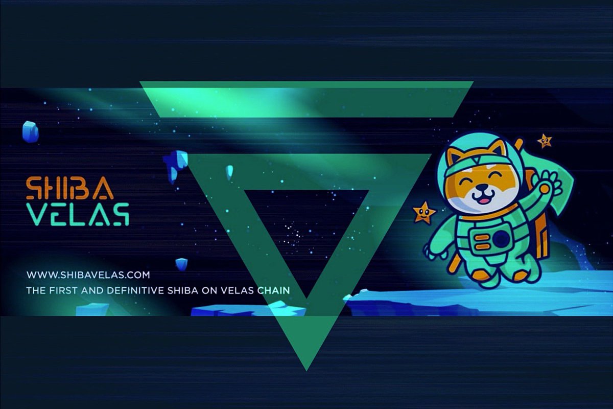 ShibaVelasToken's tweet photo. The UNIVERSE 🪐of VelasShiba
Our team is preparing HUGE news for all our community 🔥 Just a couple of weeks to prepare and VelasShiba will fly to the moon 🚀 🌚 
Fill up your bags &amp; get ready to fly

VelasShiba gives holders 2% fees auto rewards, just hold &amp; earn your💵💰 https://t.co/0dSsikDfBU