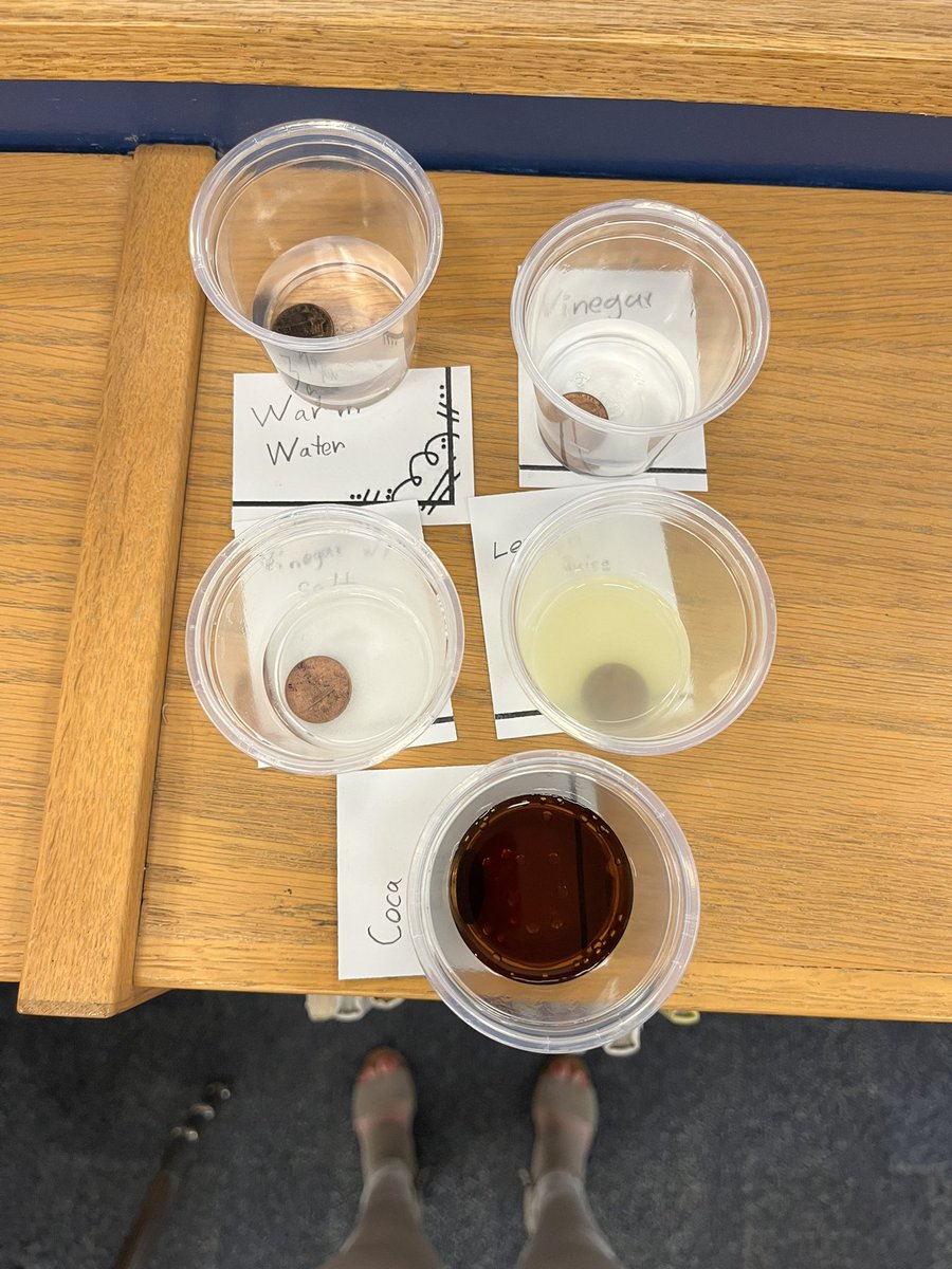 Kaitlin Smith tweet media