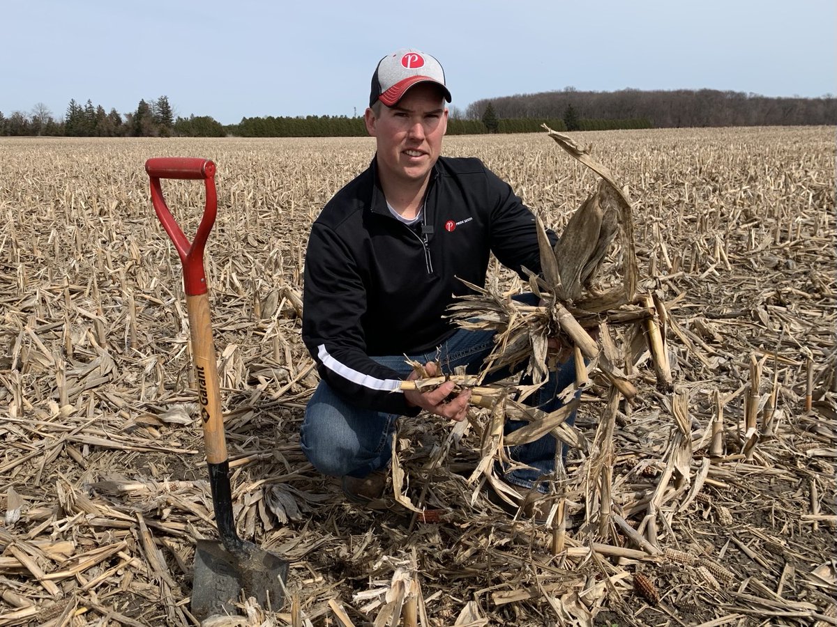 What to do with that residue? I’m talking planting prep with ⁦@chapple_mc⁩ ⁦<a href="/PRIDESeeds/">PRIDE Seeds</a>⁩. More to come on Soybean School ⁦<a href="/realagriculture/">RealAgriculture</a>⁩ #Plant22.