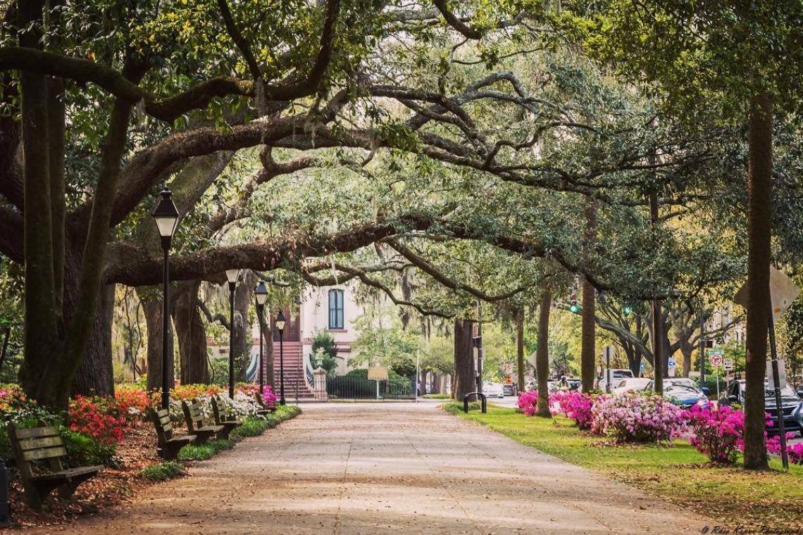 When your meetings are over, we’ve got the ultimate guide for exploring Savannah! bit.ly/3EvV7aK