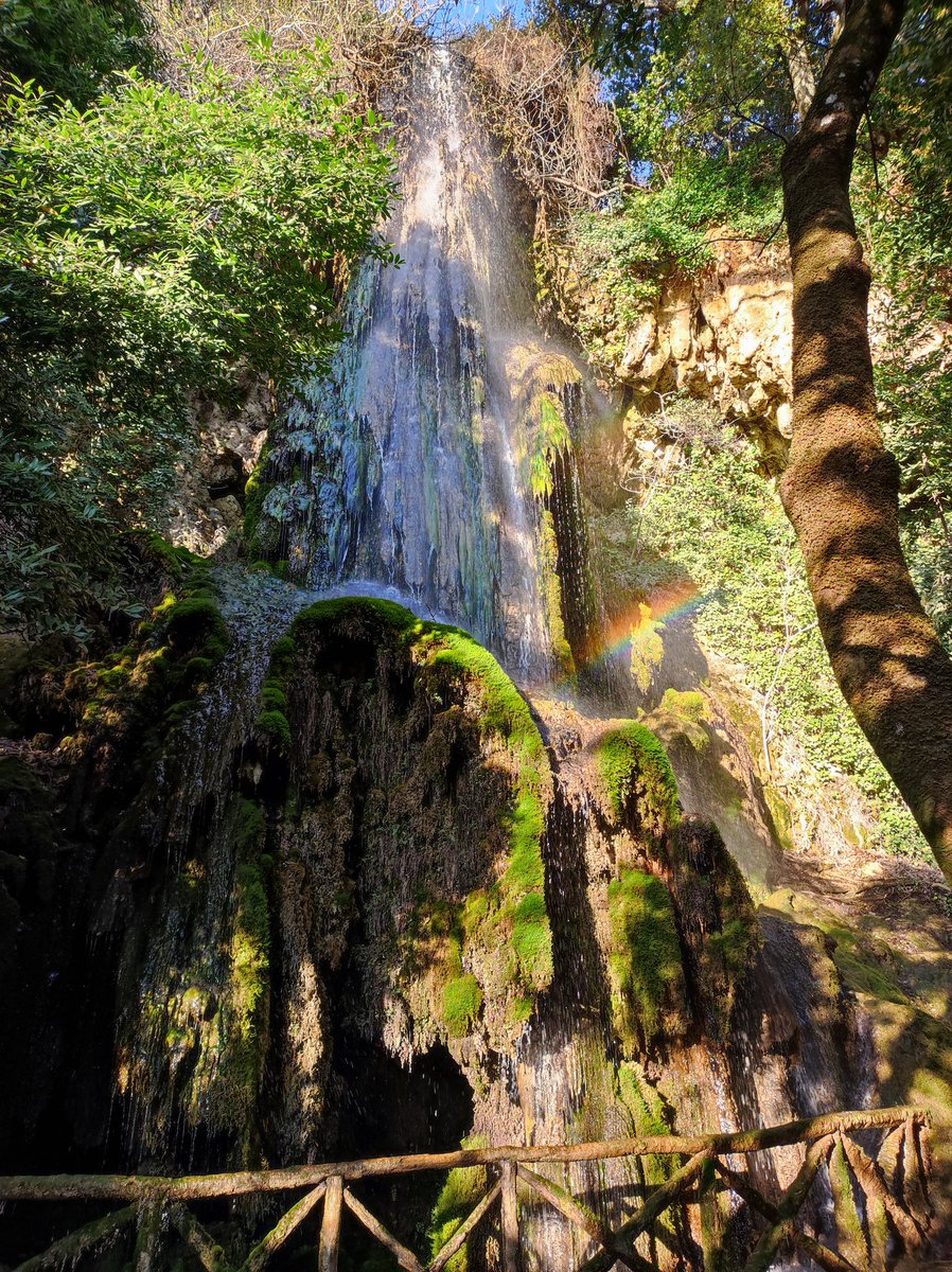 bimboinspalla's tweet image. Laconi e Parco Aymerich... 
Finalmente! 😍
Luogo incantato!
#Sardegna #Sardegna4Kids
@SardegnaTurismo