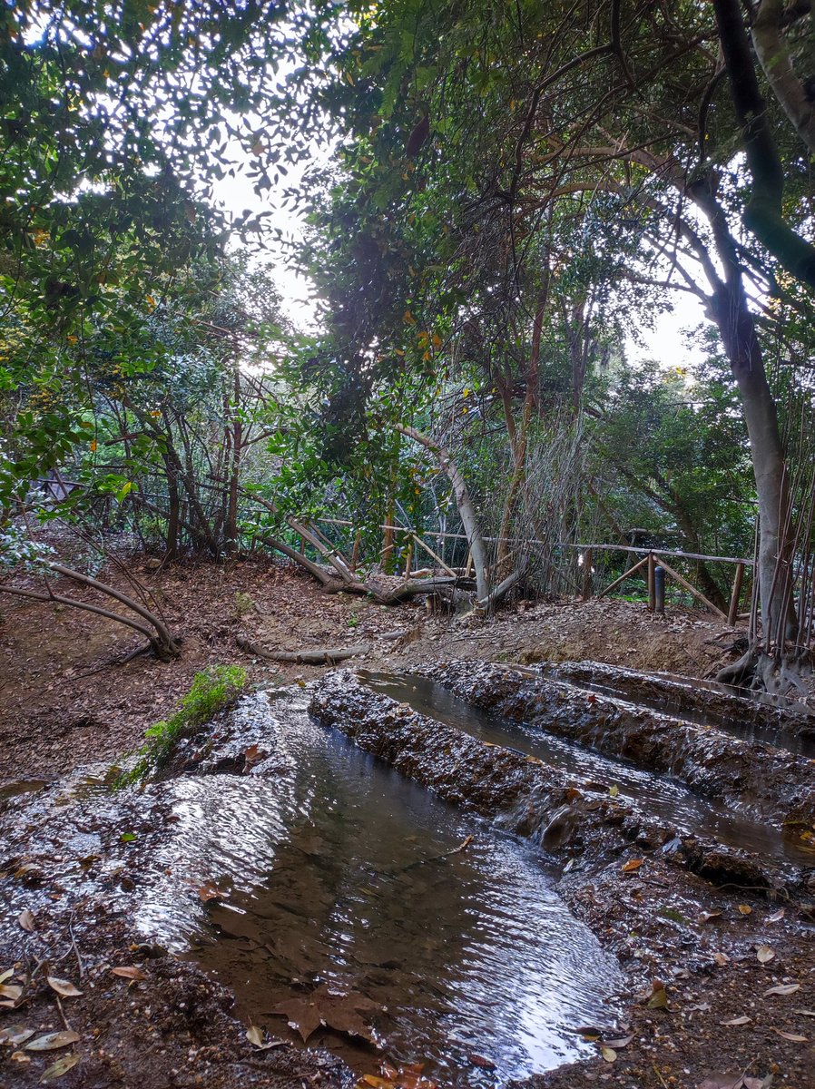 bimboinspalla's tweet image. Laconi e Parco Aymerich... 
Finalmente! 😍
Luogo incantato!
#Sardegna #Sardegna4Kids
@SardegnaTurismo