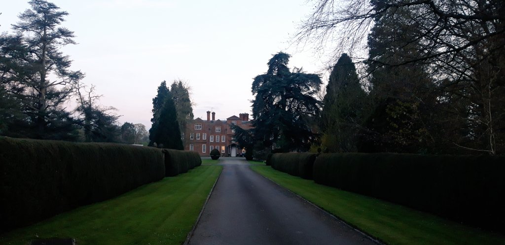 Emma the Celebrant 💙 tweet media