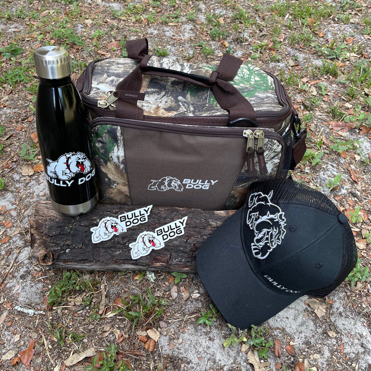 Bully Dog tweet media