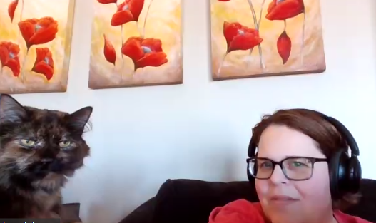 Pivotslc's tweet photo. Tisse needed to join the video call too, especially after Greyface made an appearance! #catsofAV #avtweeps https://t.co/fl1xGe40Ao