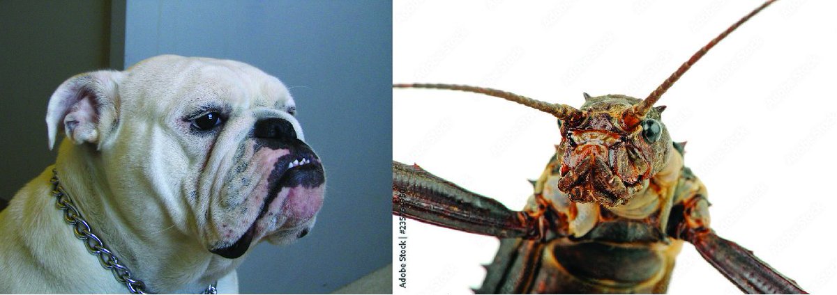 Jackson Linde tweet media