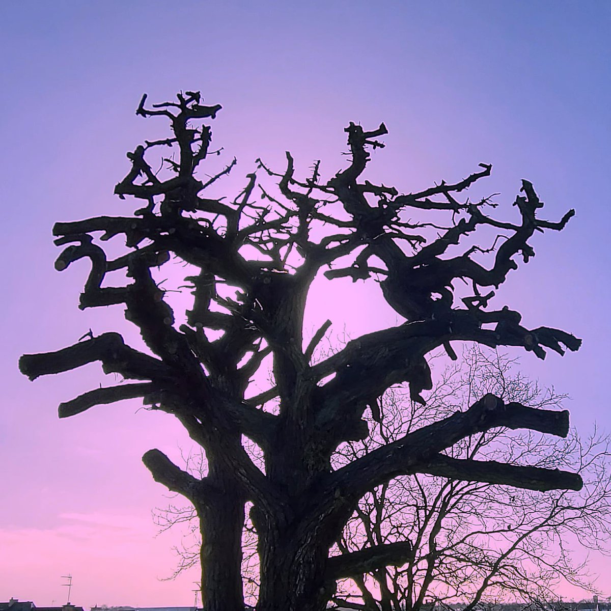 J-François Quém (@jefquem) on Twitter photo 