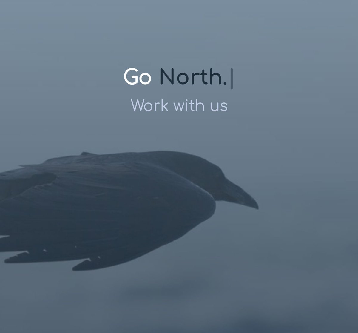 36northltd tweet picture