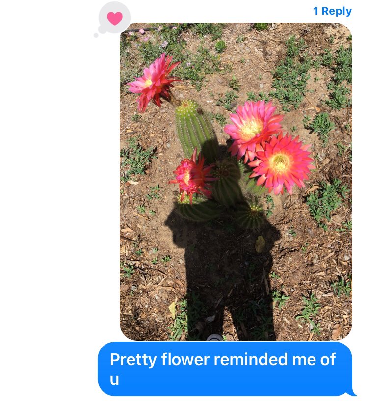 Josh_llevi's tweet photo. The texts I send her vs the texts she send me https://t.co/ZsOetgCUGq