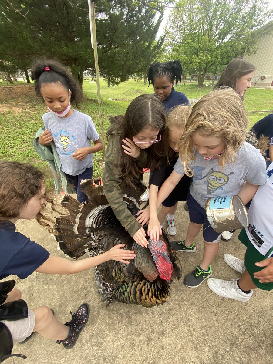 We had an amazing time on our field trip to the Environmental Education Center! <a href="/disdeec/">Environmental Center</a> @PLSamHouston #plbuzz