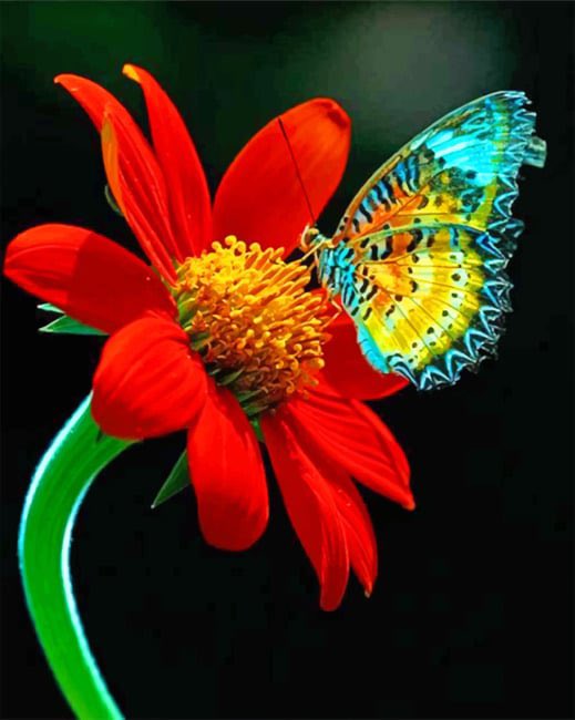Cathhewat123's tweet photo. @otrogoga60 @RosaNegra_08 @Justina_LGND @Angel_Stockler @LadyYAZNE @LIONXCL3W @THE_LGND_ @Angel__LGND @WALLI27 @byhaluk3 @nena_bovb51 @GTX3O @G16 @_90_ @K2T ✾#Ꮩ̼̐͜͡Ꮠ͋͢Ꭾ
✾#LGND
✾#KENN3N
✾#AdryDrive
✾#HOMEL3ND
❈@Justina_LGND
✿@Angel_Stockler
✴️@Cathhewat123
✿@LadyYAZNE
❈@LIONXCL3W
❈@THE_LGND_
✿@Angel__LGND
✴️@WALLI27
❈@otrogoga60
❈@RosaNegra_08
✴️@byhaluk3
✿@nena_bovb51
❈@GTX3O
✿@G16
❈@_90_
✿@K2T
#FriendsF 💕 https://t.co/EuUBXc7Rq7