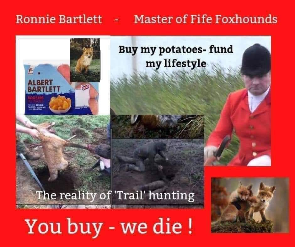 @greenscape2345 @PeterEgan6 @peggyrussell @Labour4Animals @domdyer70 @marcthevet @ChrisGPackham @JournoJane @NewsBiscuit @DailyMirror @Tesco @AldiUK @Morrisons @SainsburysNews Remember when shopping avoid #AlbertBartlett potatoes, #Warburtons bread, both company owners are fox hunters. Badger killer caught on camera. Supplier to Warburtons. You can contact the farm here: fb.watch/cw9I13Jpgb/