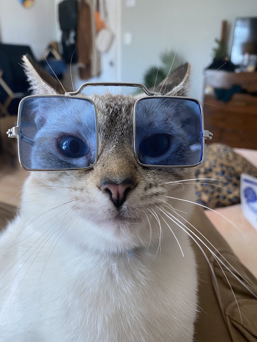 Mist3rVern's tweet photo. summa time 😎 https://t.co/cGL7EVlwpp