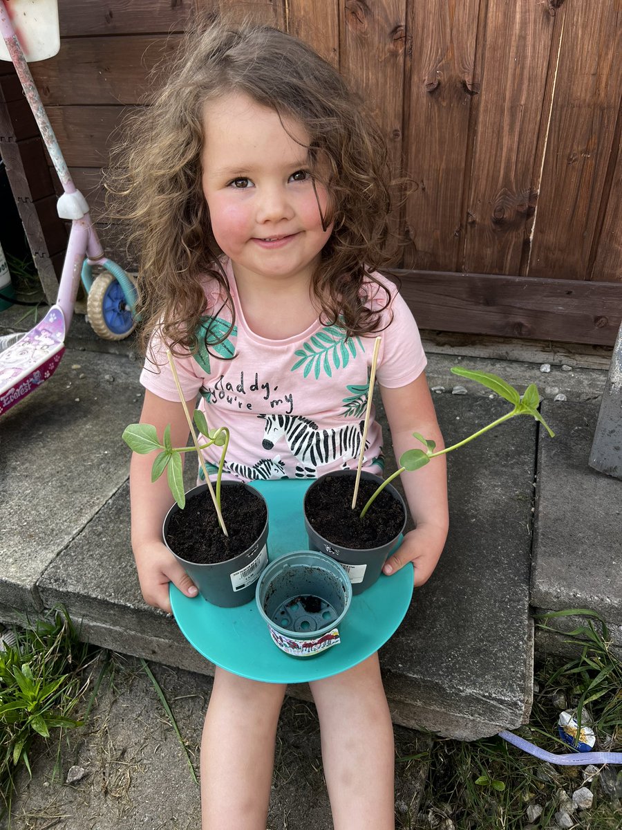 cheryl_houseman's tweet photo. @OPA_LL @OPALL_sunshine #OPAfunhomework Brooke has cared for the Mother’s Day gift she brought home, she made sure they had plenty of water and sunlight and this week we had to repot them into there own pots. https://t.co/iWrHeJgWic