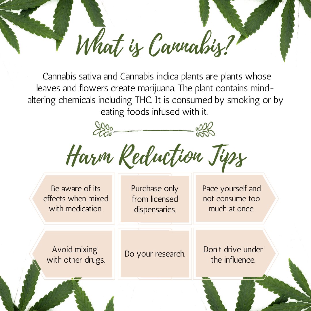 Don't know what 4/20 is? Well, let's fix that and learn more about cannabis and how to harm reduce while partaking in festivities! If you have any other ideas on harm reduction, leave them in the comments!
