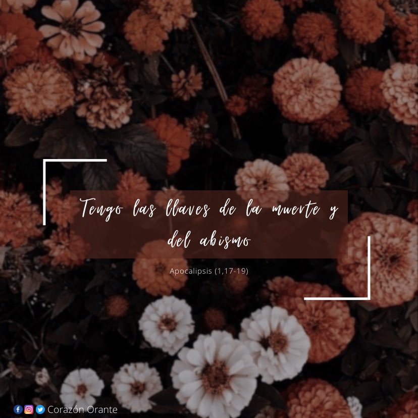 corazon_orante's tweet photo. Para ti, ¿qué es la fe? 🌱
Miércoles de adelanto dominical
#RetratAndo... Dios en cada ángulo🤍
#CorazonOrante🧡 https://t.co/BQqfhP1mJ5