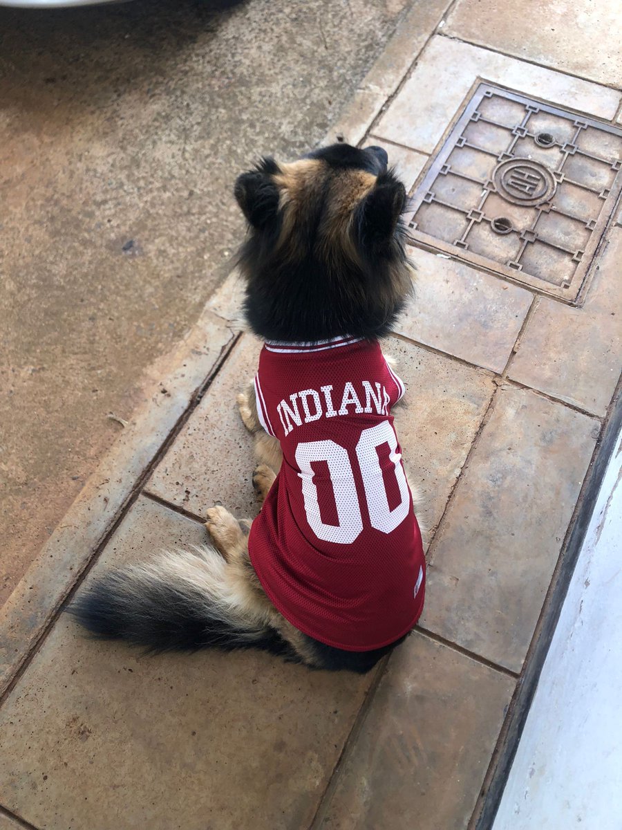 IUGlobalHealth's tweet photo. IU cupcakes, the IU fight song, Hoosier hoops and even a "red" blood drive for the local hospital celebrated all of the great work that @IndianaUniv does with partners in Kenya around the world. https://t.co/Sei4OyHreF