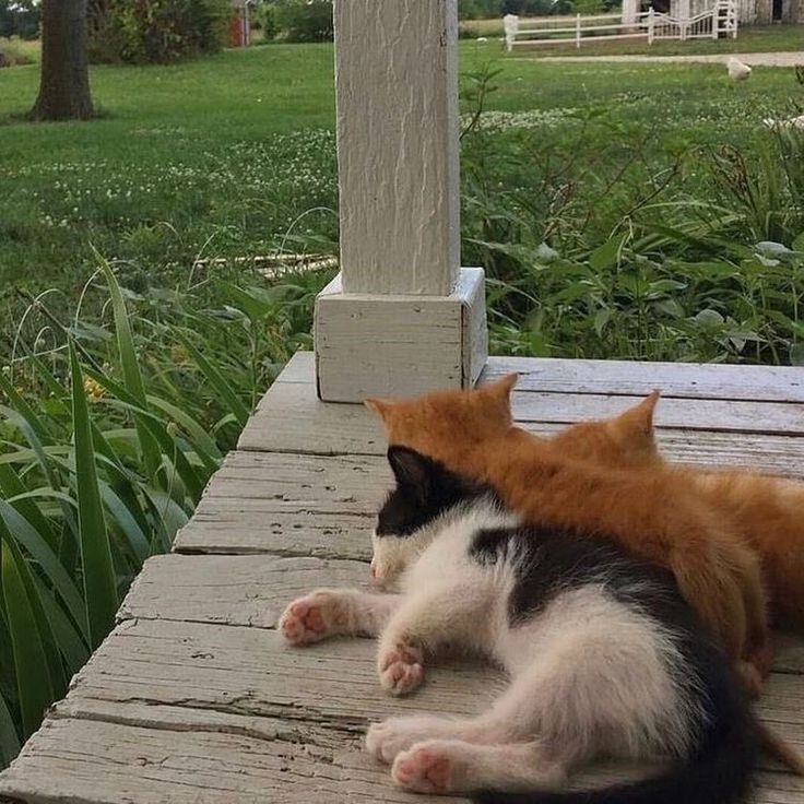 reminderblog's tweet photo. If you're having a bad day today https://t.co/xjUgQKVgmW