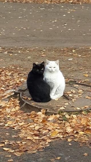 reminderblog's tweet photo. If you're having a bad day today https://t.co/xjUgQKVgmW