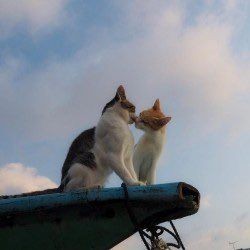 reminderblog's tweet photo. If you're having a bad day today https://t.co/xjUgQKVgmW