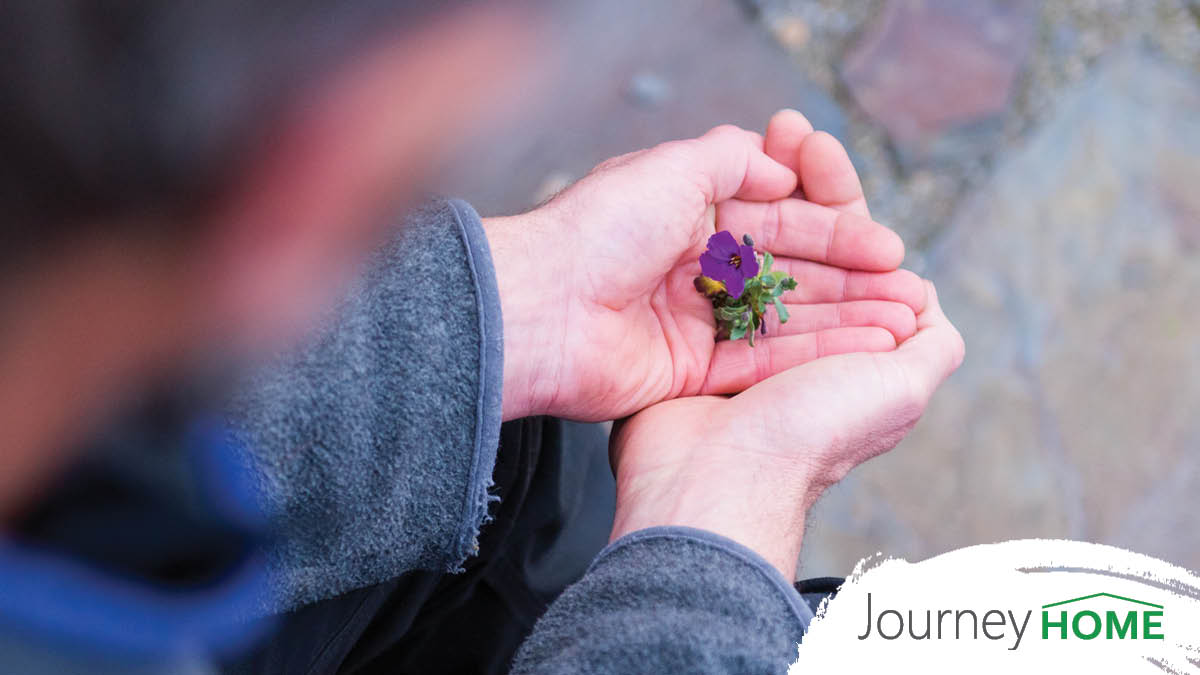 JourneyHomeBFZ's tweet photo. Wednesday Why Solve Homelessness: It’s the right thing to do. It costs the Canadian economy roughly $7B each year, but that’s nothing next to its human cost. It robs people of their health, happiness and security - https://t.co/ndt5rJFLcJ #FaceHomelessness https://t.co/sxoUa36mSI