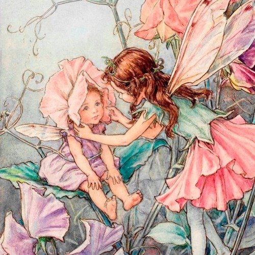 nymphaeria's tweet photo. flower fairies will always take good care of you. https://t.co/u7fqT6XEya