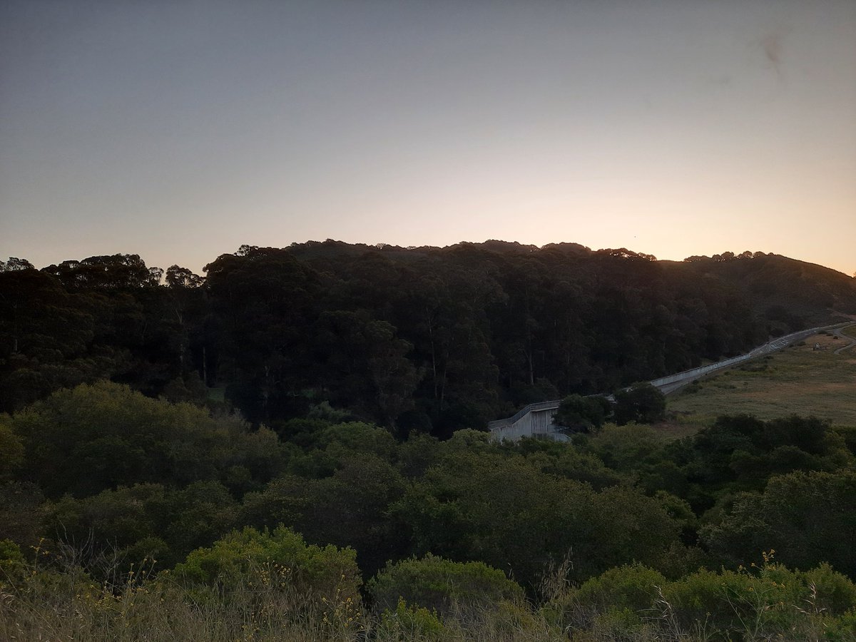 ABirdingNat's tweet photo. #sunrise over #Eucalyptus. https://t.co/2qBkRaBLhK