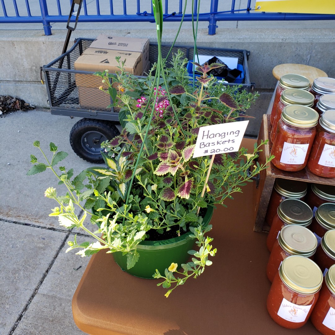 DBFarmersMarket's tweet photo. Thank you to everyone who helped wrap up our 2022 indoor season at our April Farmers Market!

Next up: our 25th Anniversary outdoor season starting May 7th 🎊 https://t.co/sk4wHNi8Td