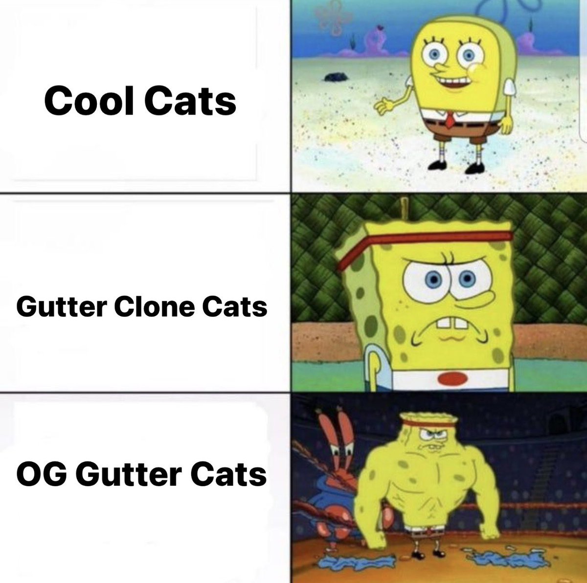 Nft Cats represented by different SpongeBobs