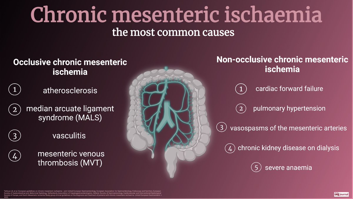 UEGJournal's tweet photo. 📌 Chronic mesenteric ischaemia

- causes
- diagnostic work-up

https://t.co/7as8WNBRGs
#GITwitter @my_ueg @WileyHealth https://t.co/Eyx0o4vWTe