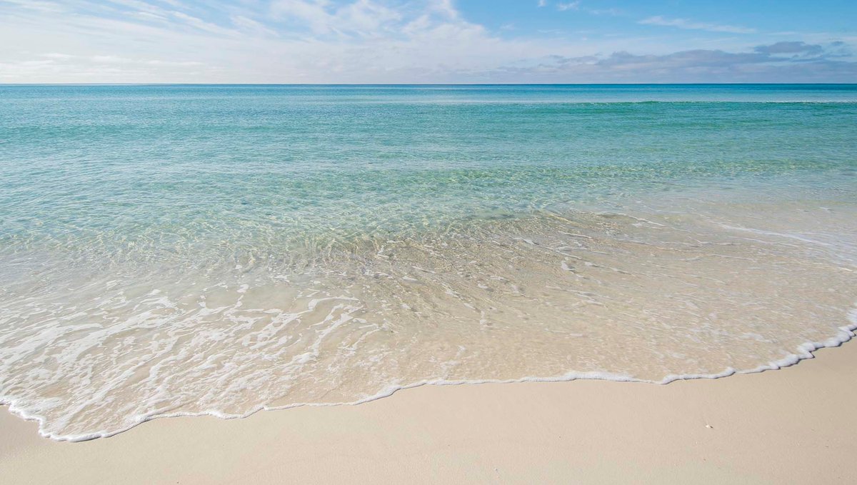 Southern Vacation Rentals tweet media