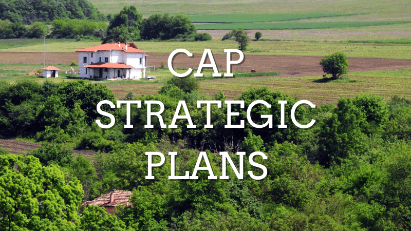 The civil society organisation STEP believes that Bulgaria’s #CAP Strategic Plan must be corrected in order to be in line with the objectives of the European Green Deal, the EU’s Biodiversity and Farm to Fork Strategy. The essential changes to be made: arc2020.eu/bulgarias-cap-…