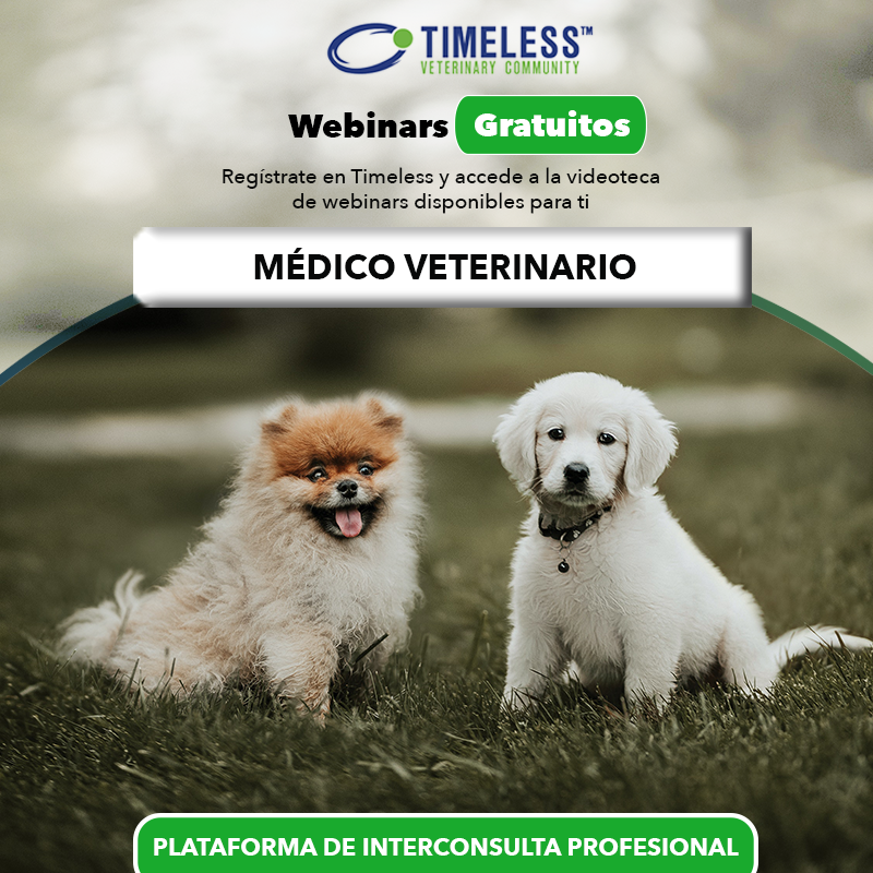 TimelessVetES's tweet photo. #MédicoVeterinario Para acceder a los videos de los webinars GRATUITOS que los especialistas de Timeless han impartido, solo tienes que registrarte: https://t.co/JsUndpSkXU https://t.co/deABGXlnZ9