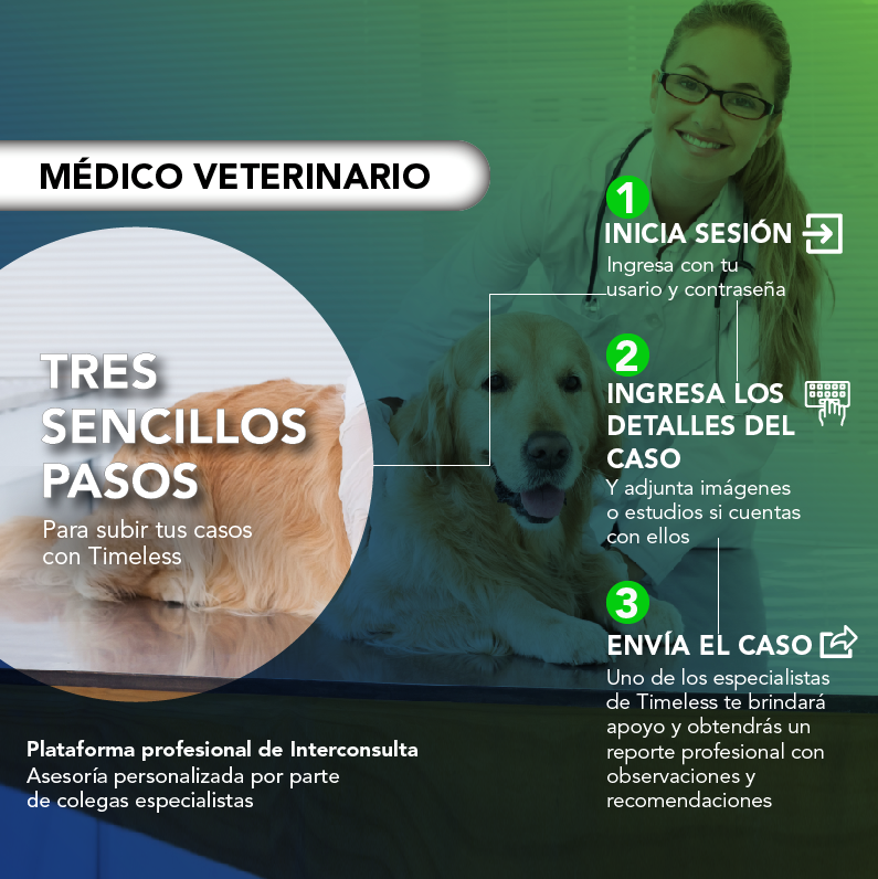 TimelessVetES's tweet photo. ¿COMO FUNCIONA?
Regístrate en Timeless: https://t.co/JsUndpSkXU
Sube a la plataforma la evaluación del paciente (hallazgos clínicos, dudas específicas, imágenes, videos, análisis de laboratorio, etc).
El médico de Timeless toma el caso y proporciona un detallado reporte en PDF. https://t.co/OcU0sfFQfl