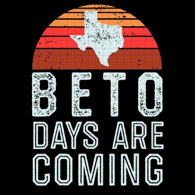 TheHopsbride's tweet photo. @BetaRayBob1 @SkylerSwisher @FarmerForFLSen Ron Desantis and Greg Abbott are competing to see who can destroy democracy in Florida or Texas in the least amount of time

@BetoORourke is the only hope to save Texas before it's too late 
#BetoForGovernor #BetoForTexas #GregAbbottMustGo https://t.co/Qetca6nFt6