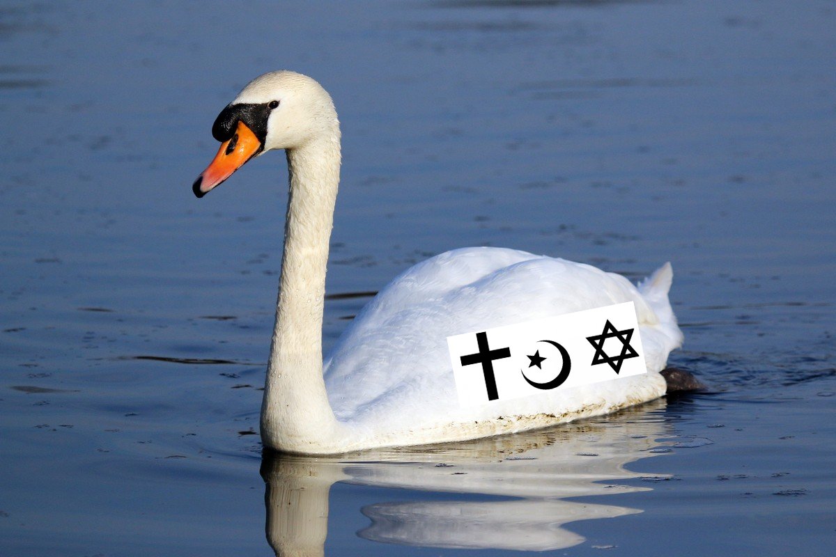 GiorgioZrsx's tweet photo. Non aux cygnes religieux !
#Debat2022 #DebatMarineMacron #debat #debatmacronlepen #Elections2022 https://t.co/uyNnIVncjl