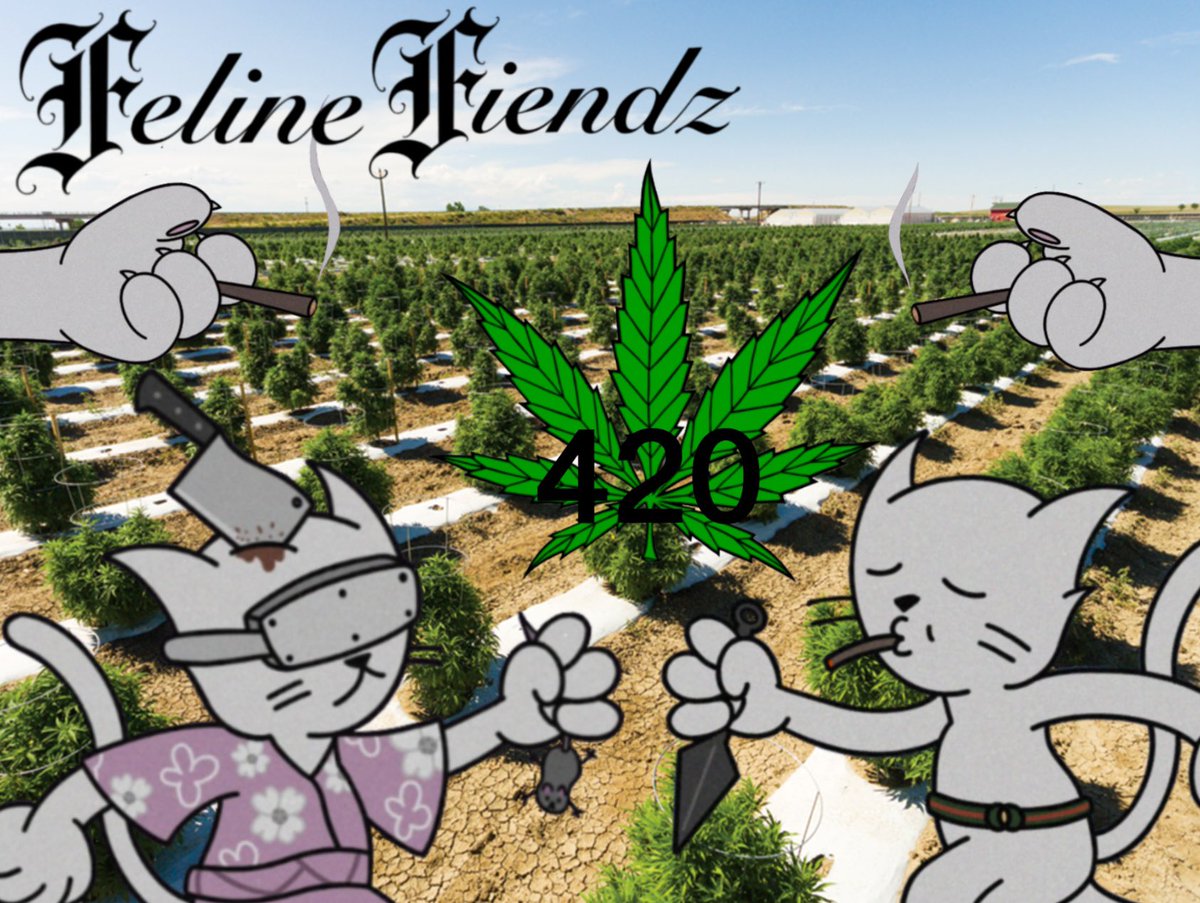 KingWaxx47's tweet photo. ✨Happy @FelineFiendz 420!, Getting High With My Feline’s! 👁😺💨🚀🚀🚀✨
#felineFiendz #FIENDZTAKEOVER #420friendly #Guccigang #highonwaxx #mousegang #hightimes #Fields https://t.co/F5w3KYBRxB