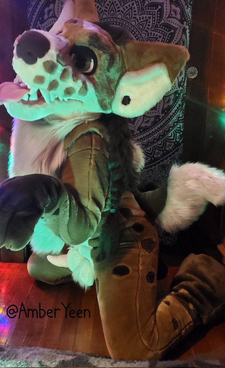 Such a good yeenie 

Sitting pretty for all to see 

Who wants to give this yeen a snack for being soo good?

#gooddog #GoodGirl #sitpretty #yeenpup