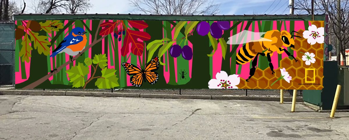 muralarts's tweet photo. 🌸ICYMI, Mural Arts Philadelphia partnered with @NatGeo and created a mural @OverbrookEC mural dedication, designed by artist @eurhi.jones!

➡️Learn more about it in the article below: 
https://t.co/bAhxir1QbA https://t.co/wDYZRk4DKb