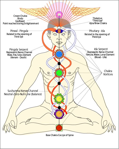 Quetzacoatl1492's tweet photo. @temptamperu @POTUS @VP I have used CBD, THC #Shrooms &amp; natural #DMT by Kundalini to clear my Chackra’s and achieved  high states of consciousness through meditation , as , YOGI’s do for a living. That is my job now , I know it well , just like @joerogan , we do the same things, he just has discipline. https://t.co/X1J5Czoyvq